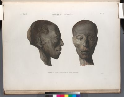 Thèbes. Hypogées. Profil et face d'une tête de momie d'homme.