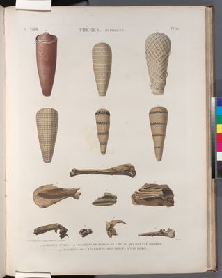 Thèbes. Hypogées. 1-6. Momies d'ibis; 7-13. Fragmens de momies de chacal qui ont été dorées; 14. Fragment de l'enveloppe des doigts d'une momie.