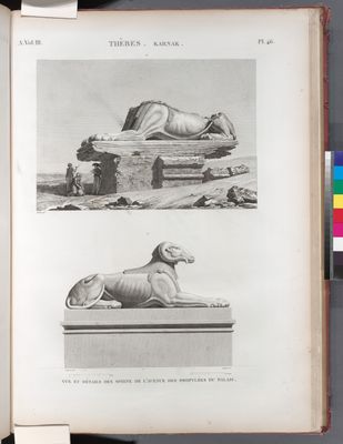 Thèbes. Karnak. Vue et détails des Sphinx de l'Avenue des propylées du palais.