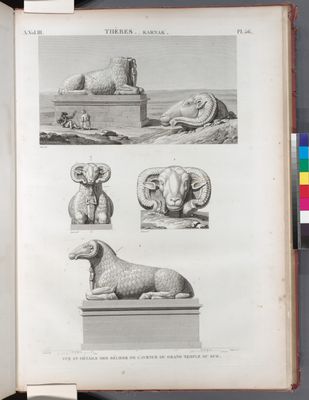 Thèbes. Karnak. Vue et détails des Béliers de l'Avenue du Grand Temple du sud.