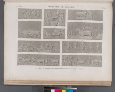 Pyramides de Memphis. Bas-reliefs sculptés dans les tombeaux situés à l'est de la seconde pyramide.