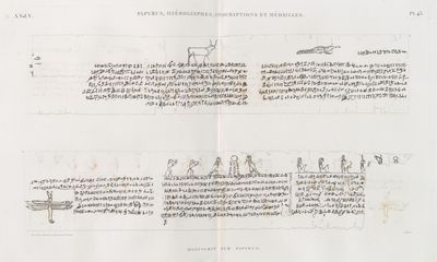 Papyrus, hiéroglyphes, inscriptions et médailles. Manuscrit sur papyrus.