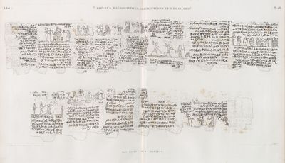 Papyrus, hiéroglyphes, inscriptions et médailles. Manuscrit sur papyrus.