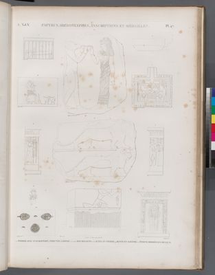 Papyrus, hiéroglyphes, inscriptions et médailles. 1.2. Pierre avec inscription, trouvée à Edfoû; 3-5.11.12. Bas-reliefs; 6-8. Autel en pierre; 9. Buste en albâtre; 10. Étoffe brodée en couleur.