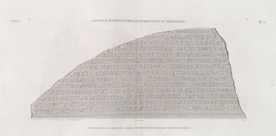 Papyrus, hiéroglyphes, inscriptions et médailles. Pierre trouvée à Rosette, (partie supérieure, en écriture hiéroglyphique).