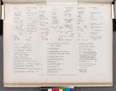 Papyrus, hiéroglyphes, inscriptions et médailles. Différentes inscriptions recueillies sur la route du Mont-Sinaï.