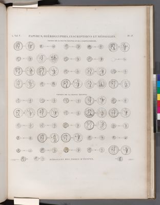Papyrus, hiéroglyphes, inscriptions et médailles. Médailles des nomes d'Égypte.