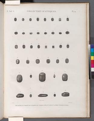 Collection d'antiques. Amulettes en forme de scarabées, en terre cuite, en jade et autres pierres dures.