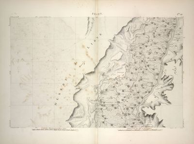 Fechn. [Province de Benisouif]