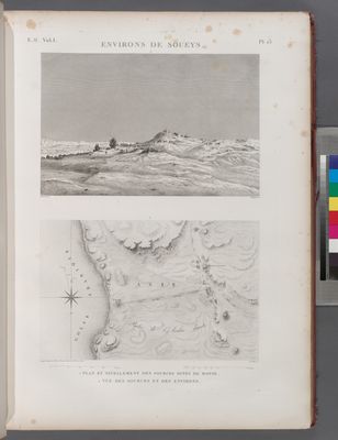 Environs de Soueys [Suez]. 1. Plan et nivellement des sources dites de Moyse; 2. Vue des sources et des environs.
