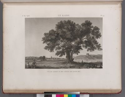 Le Kaire [Cairo]. Vue du jardin et de l'étang de Qasim Bey.