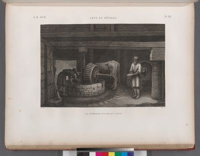 Arts et métiers. Vue intérieure d'un moulin à hulie.