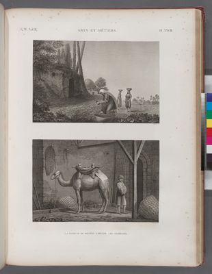 Arts et métiers. 1. La faiseuse de mottes à bruler; 2. Le chamelier.
