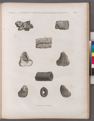 Minéralogie. Vallée et Port de Qoseyr, Birket Qeroun. Fossiles et concrétions.