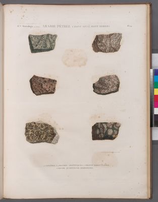 Minéralogie. Arabie Pétrée (Mont Sinaï, Mont Horeb). 1.2. Sinaïtes; 3.4. Roches granitiques; 5. Granit orbiculaire; 6. Roche quartzeuse herborisée.